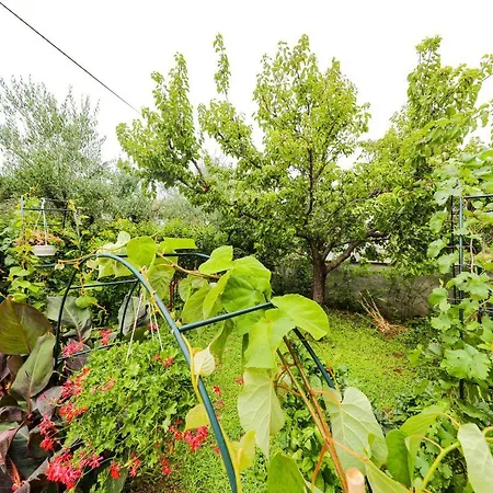 Appartement Marinela